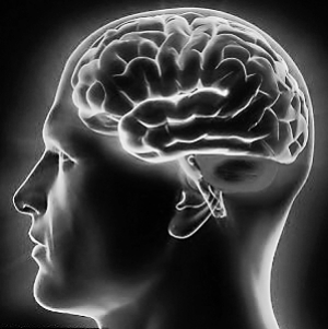 科學(xué)家解密“最強大腦”：瞬間記憶與智商有關(guān)系