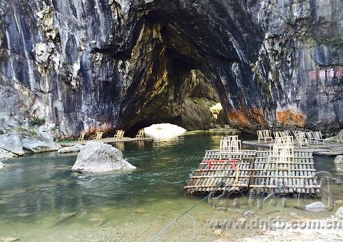 白鷺飛進(jìn)龍巖汀江國家濕地公園　解密背后的故事