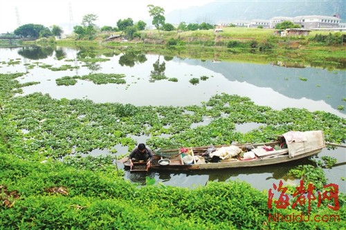 福州高校學(xué)生專家“問診”溪源江　繪污染源地圖