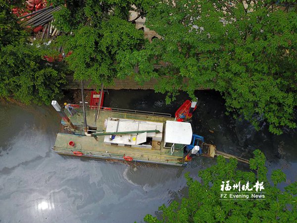 金山水系治理有新招　采用“水下森林”修復(fù)法