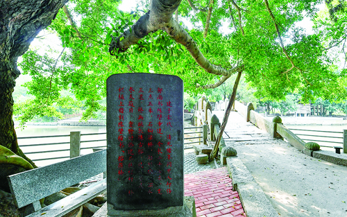 蘇坂陳氏家族和榕蔭橋的不解之緣