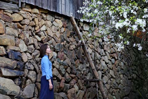 閩侯廷坪“夢幻雪”，落英繽紛盼君來 