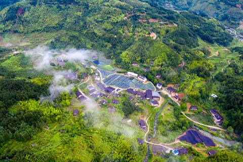 省攝影家協(xié)會采風團走進“繡山花谷”