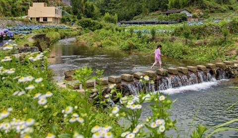 省攝影家協(xié)會采風團走進“繡山花谷”