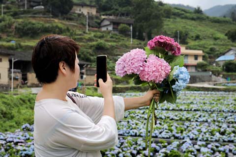 省攝影家協(xié)會采風團走進“繡山花谷”