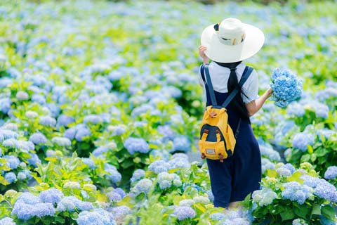 省攝影家協(xié)會采風團走進“繡山花谷”