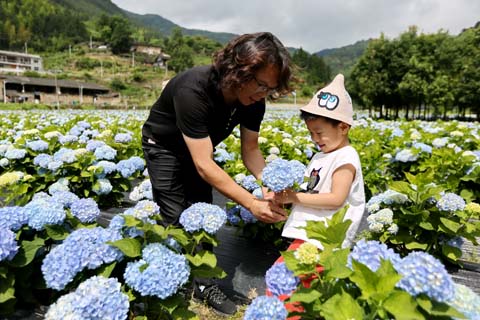 省攝影家協(xié)會采風團走進“繡山花谷”