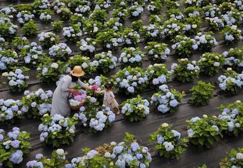 省攝影家協(xié)會采風團走進“繡山花谷”