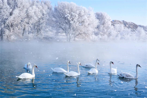 網(wǎng)絡(luò)中國(guó)節(jié)?大雪丨今日大雪