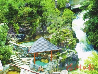 保護(hù)修復(fù)“一盤棋　”守好生命共同體