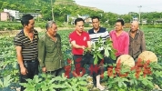 致敬！“福州最美奮斗者”揭曉