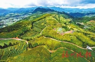 閩侯雪峰村：　人間清涼地　魅力生態(tài)村