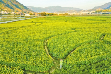 冬去千山醒　春來百花開