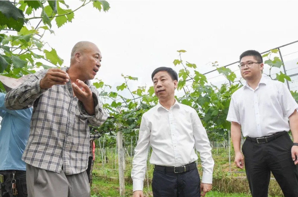 縣委書記赴洋里調(diào)研農(nóng)業(yè)產(chǎn)業(yè)項(xiàng)目和鄉(xiāng)村治理工作
