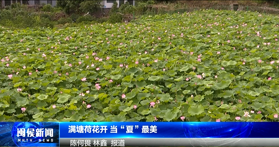 2025年6月12日閩侯新聞