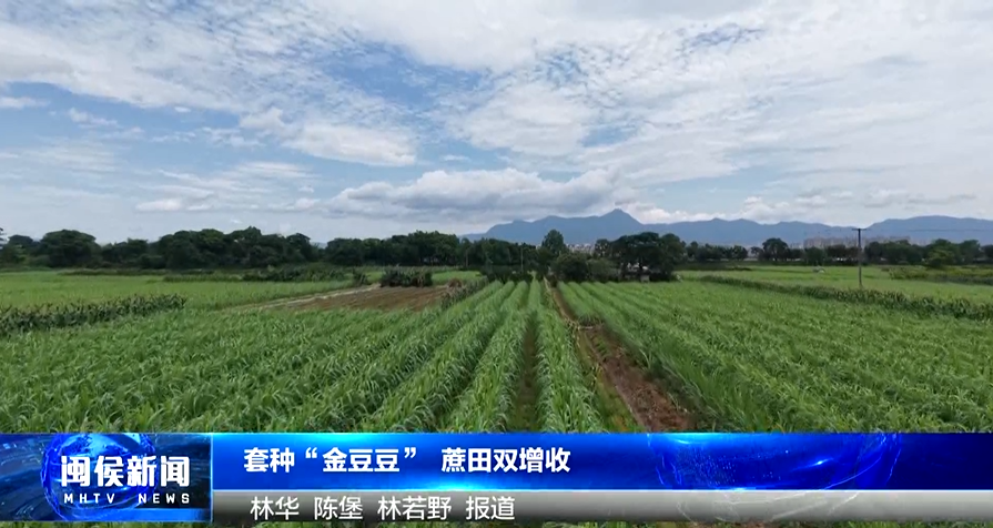 2025年6月20日閩侯新聞