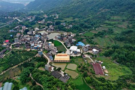 元格村百年楓樹紅了,！一起去看“醉”美“楓”景