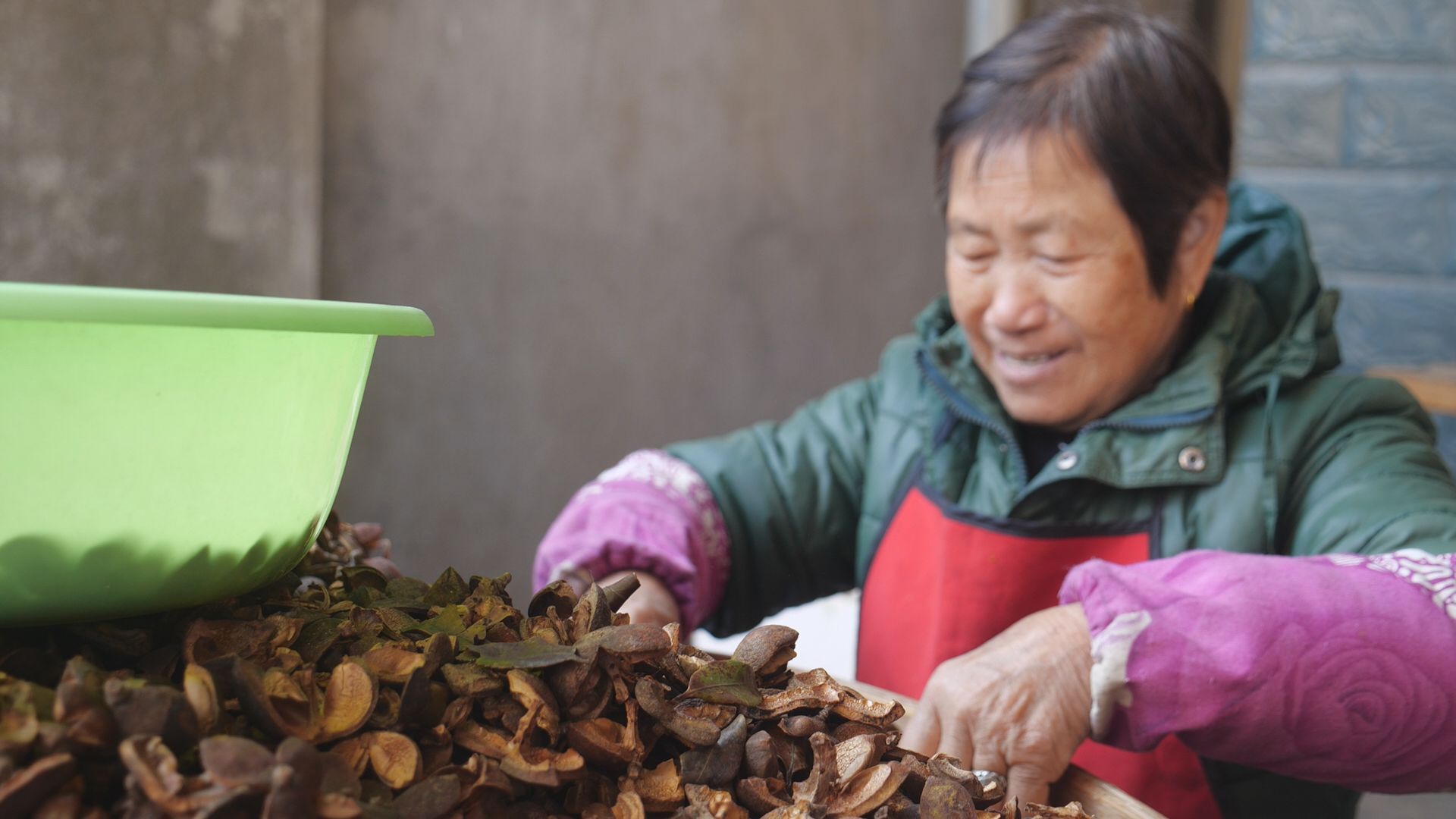 看閩侯丨色澤金黃、香飄四溢的茶油是如何“煉”成的,? 看閩侯丨色澤金黃,、香飄四溢的茶油是如何“煉”成的,?