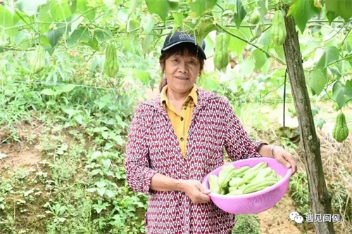 現(xiàn)場(chǎng)上演“翻包記”,！看看閩侯90后人大代表包里都有啥？