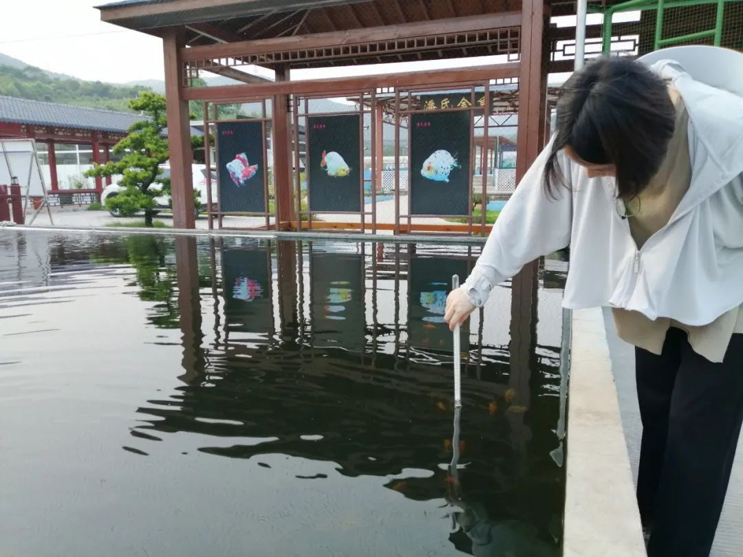 一條游向世界的“中國魚”背后 ——以精細(xì)化氣象服務(wù)呵護(hù)金魚養(yǎng)殖