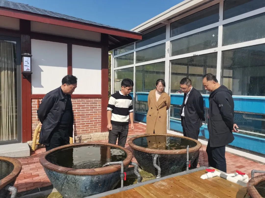 一條游向世界的“中國魚”背后 ——以精細(xì)化氣象服務(wù)呵護(hù)金魚養(yǎng)殖