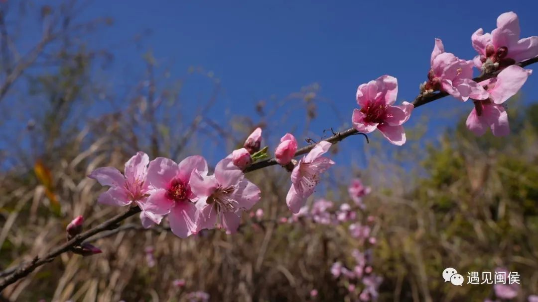 看閩侯丨想看“花花世界”,？安排！