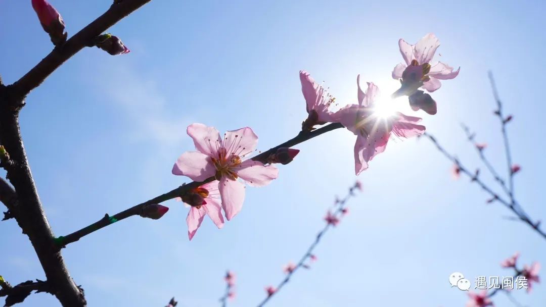 看閩侯丨想看“花花世界”？安排,！