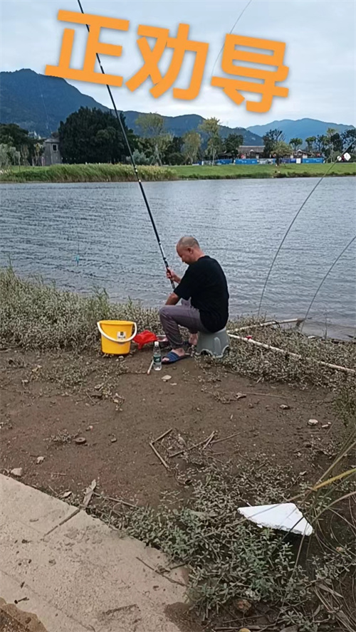 文明旅游丨公園隨意釣魚,？不文明！