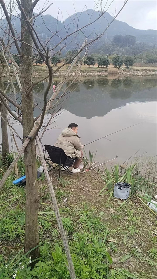 這些不文明旅游行為讓公園“花容失色”