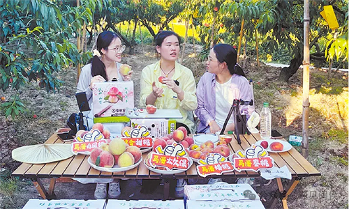 就在廷坪這片稻田！開(kāi)SHOW,！