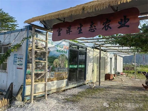 就在廷坪這片稻田,！開(kāi)SHOW！