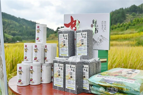 就在廷坪這片稻田！開(kāi)SHOW,！