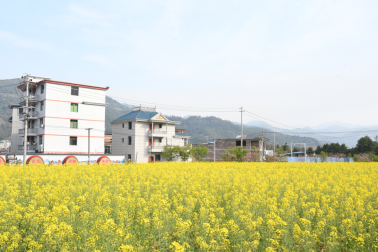 今夏部分區(qū)域試運營！閩侯又添一旅游小鎮(zhèn)