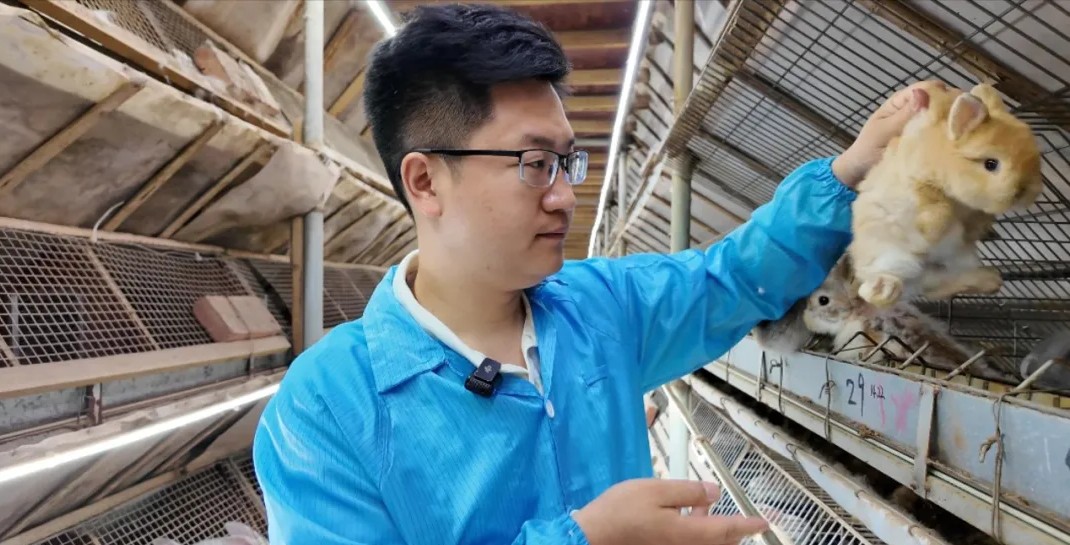 閩侯有個(gè)“兔王國”，數(shù)量多品種全,，每只都可愛,！