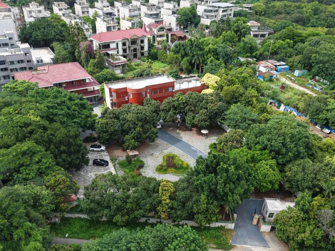 閩侯這里荔枝紅了，民宿“活”了,！