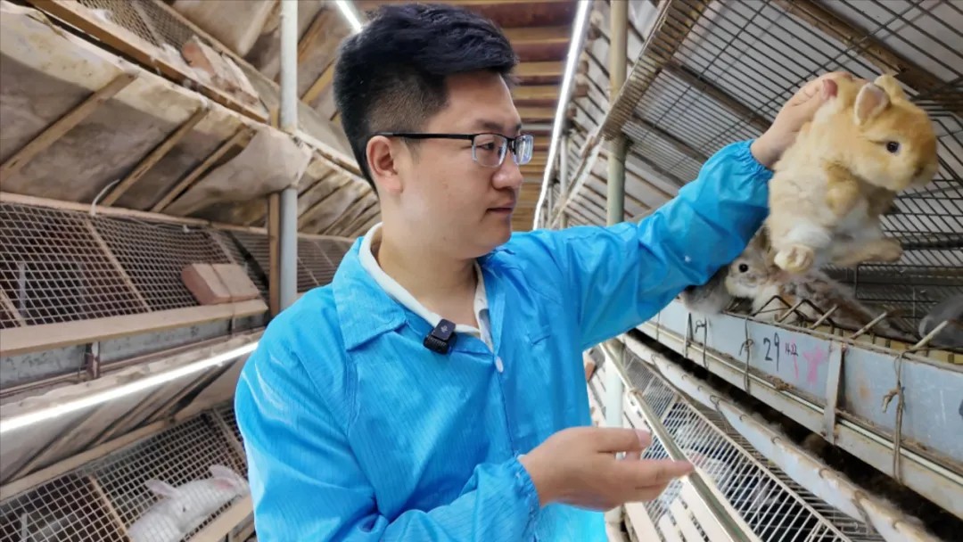 從30萬到4000萬！這個90后“兔王”用10年逆襲,！